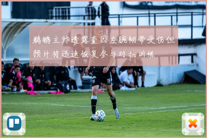 鹈鹕主帅透露奎因左腕韧带受伤但预计将迅速恢复参与对抗训练
