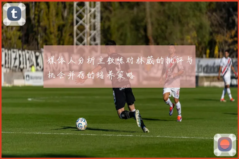 媒体人分析主教练对林葳的批评与机会并存的培养策略